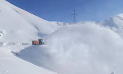 Hakkari'de 42 yerleşim yerinin yolu kapandı