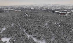 Elazığ’da beton yığınlarının arasındaki beyaz vaha mest etti
