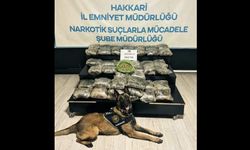 Yüksekova’da Narkotik Operasyonu: 30 Kilo Skunk Ele Geçirildi