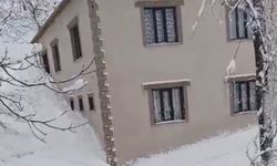 Yüksekova'da çığ yerleşim yerine indi