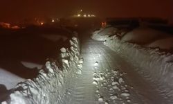 Vatandaşlardan VEDAŞ’a Tepki “Dilekçelerimiz Yırtılıp Çöpe Atılıyor”