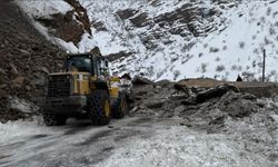 Hakkari-Çukurca karayolu ulaşıma kapandı!