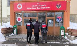 Hakkari’de 9 yıl 9 ay hapis cezası bulunan şahıs yakalandı