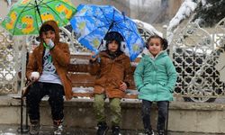 Hakkari ve ilçelerinde okullar tatil edildi