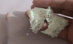 Hakkari’de Ekmeğin İçinden Çıkan Şok Etti