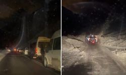 Hakkari–Van Karayolunda Çığ Paniği