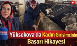 Yüksekova’da Kadın Girişimcinin Başarı Hikâyesi