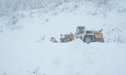 Şemdinli’de Çığ Riski: Vatandaşlar uyarıldı