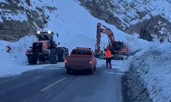 Yüksekova- Hakkâri karayoluna çığ düştü