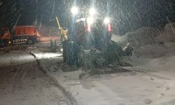 Yüksekova-Şemdinli karayolu çığ riski nedeniyle ulaşıma kapatıldı