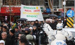 Hakkari DEM Parti’den Suriye İçin Yürüyüş ve Basın Açıklaması