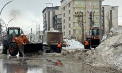 Yüksekova’da kaldırım temizliği sürüyor