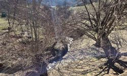 Tunceli’de heyelan tedbirleri: 19 konuttan 7’si boşaltıldı