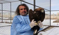 Van YYÜ’de yırtıcı kuşlar şifa bulup doğaya dönüyor