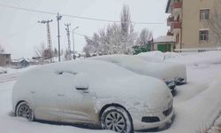 Başkale’de araçlar kara gömüldü: 32 yerleşim yerinin yolu ulaşıma kapandı