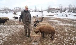 Muş’ta kış ve bahar aynı anda yaşanıyor