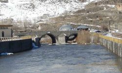 Kars Çayı’nda erken bahar: Zemheri beklenirken buzlar çözüldü