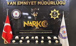 Van’da bir ayda 177 kilo 668 gram uyuşturucu ve uyarıcı madde ele geçirildi