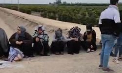 Adana’da trafik kazası: 1’i ağır 7 tarım işçisi yaralandı