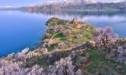 Van'ın en büyük ilçesi hangisidir? İşte yüzölçümü bakımından kentin zirvesindeki o ilçe