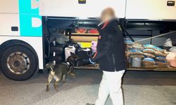 Batman’da narkotik köpeği "Hector" zehir tacirlerine geçit vermedi