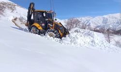 Van’da 78 yerleşim yerinin yolu kapalı