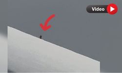 Yüksekova’da Kış Uykusuna Yatmayan Ayı Görüntülendi