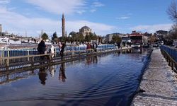 Kars’ta bahar havası: Güneşi gören kendisini dışarı attı