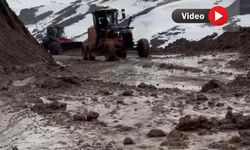 Yüksekova–Hakkâri kara yolunda heyelan: Ulaşım kontrollü sağlanıyor