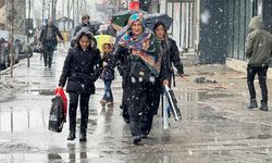 Yüksekova’da Kar Yağışı Hayatı Olumsuz Etkiledi