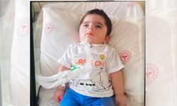 Yüksekovalı Minik Muammer Asaf Düzen Hayatını Kaybetti