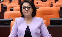 Milletvekili Bartın'dan "Jeffrey Epstein" önergesi