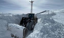 Meteoroloji'den Hakkari için çığ uyarısı