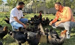 Yüksekova’da kanatlı hayvan besleyenler dikkat! Denetimler sıklaştı