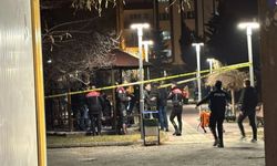 Van’da bir kişi silahla vuruldu