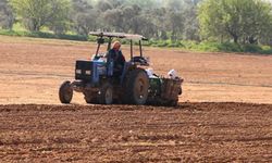 Hakkâri’li Gençlere Faizsiz Kredi ve Hibe Desteği