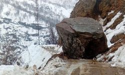 Bitlis’te yağış sonrası 6 farklı noktada heyelan meydana geldi