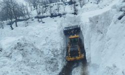 Dağlıca’da çığ kabusu: Köy yolları 2 gün süren çalışmayla açıldı
