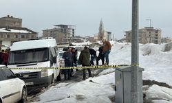 Yüksekova‘da yol ortasında intihar girişimi: 1 ağır yaralı