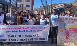 DEM Parti Hakkari İl Örgütü’nden Dünya Anadili Günü açıklaması