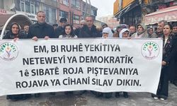 Hakkari DEM Parti’den Dayanışma Yürüyüşü Çağrısı