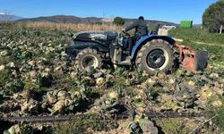 Pazarda 70 lira ama yüzbinlercesi tarlada çürüdü: Üreticiler Tarım Kredi’ye çağrı yaptı