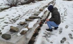 Birincilik getiren arılarını kış şartlarında özenle koruyor