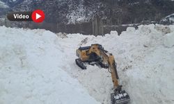 Yüksekova’da Çığ Nedeniyle Kapanan Köy Yolunda Çalışma Başlatıldı