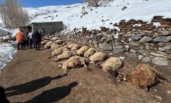 Van’da ahırda feci yangın: 67 küçükbaş hayvan telef oldu