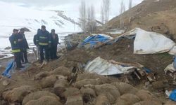 Van’da ahır çöktü, 23 küçükbaş hayvan telef oldu