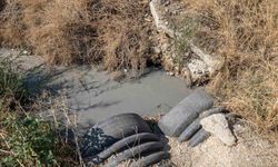 Gediz Nehri mercek altında