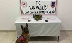 Van’da 1 kilo 64 gram skunk maddesi ele geçirildi