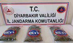 Diyarbakır’da 25 kilo esrar ele geçirildi