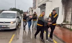 Adana’da atlara eziyet iddiası: 2 kişi gözaltına alındı